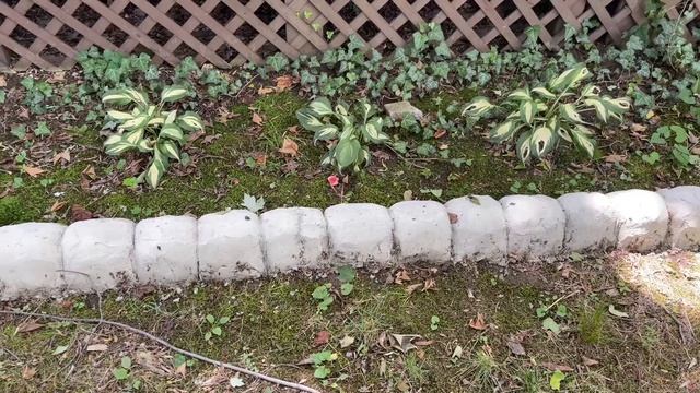 Штуки для дома: эффективные решения и идеи