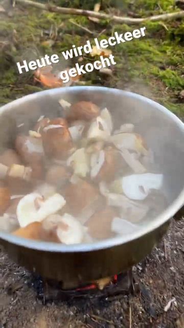 Heute Gibt Es Tortelline Mit Champignon -Tomaten Sosse💖💖 Und Wie Schaut Euer Samstag Aus??