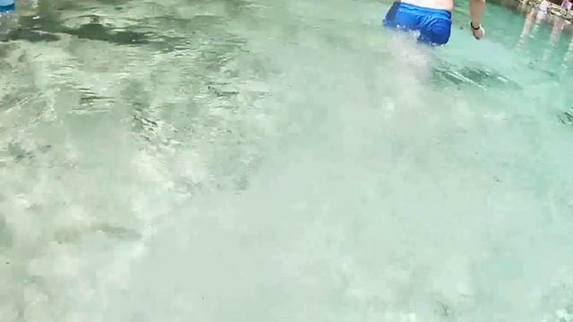 Swimming in ultra clear water in ictutucknee springs with gopro смотреть онлайн