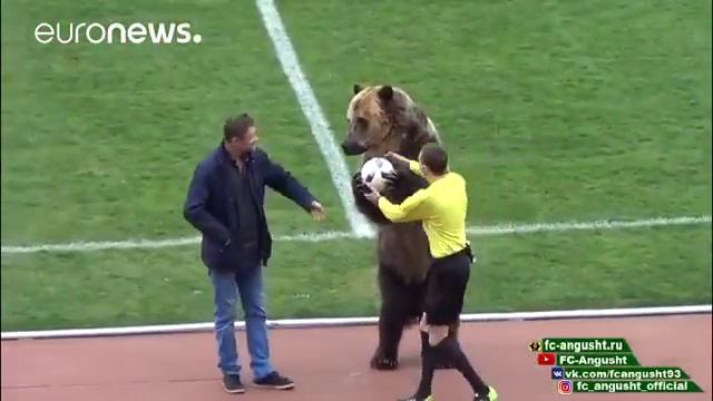Euronews | 18.04.2018: Медведь на футбольном поле смотреть онлайн