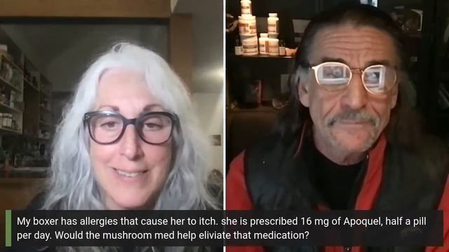 December 2022 Live Pet Q&A with Dr. Rob Silver, DVM, MS & Joni Kamlet, RVT, CCRA смотреть онлайн