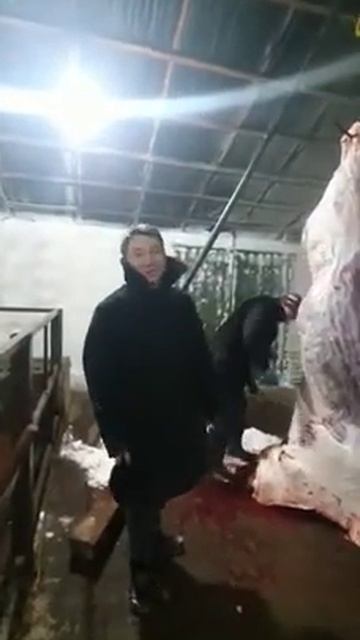 Тринога для забоя и снятия шкуры смотреть онлайн