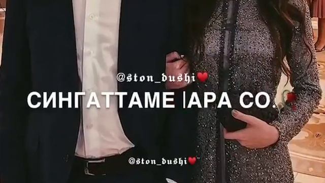 Сан дог ойла смотреть онлайн