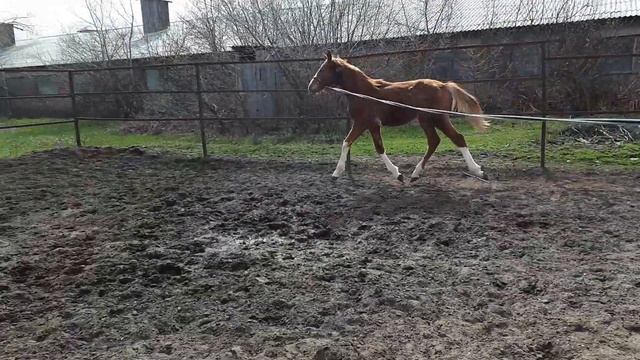 Берлин (Бенар-Реаби) 2022 года смотреть онлайн