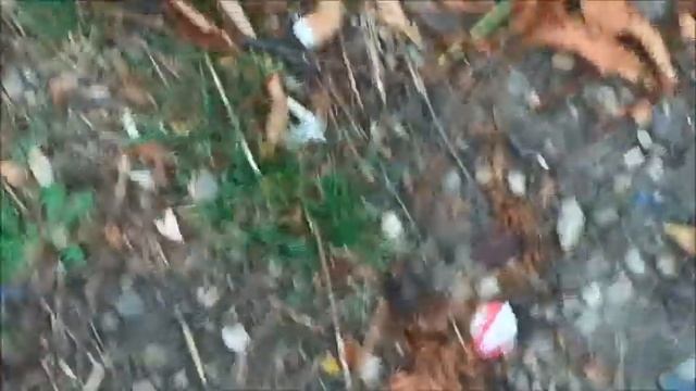 ПИНАЕМ ГРИБ В ОЖИДАНИИ 11:00.