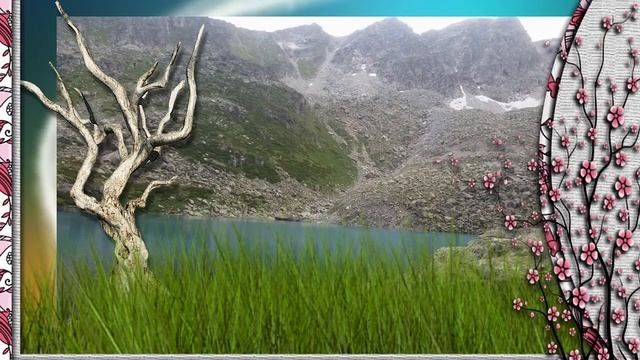 ОТЗЫВ о ТРЕНИНГЕ с ЕЛЕНОЙ ГЛАДКОВОЙ смотреть онлайн