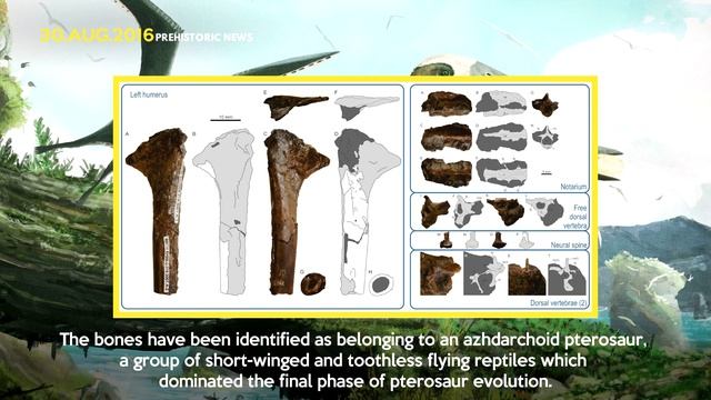 Tiny Pterosaur Discovered From The Age of Flying Giants | Prehistoric News смотреть онлайн