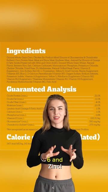 Small Dog, Big Flavor! 🐶 Pedigree Complete Nutrition #Pedigree #SmallDog #DogFood смотреть онлайн