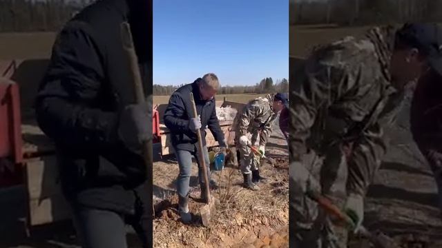 Весенняя высадка кустарников вдоль дороги Круглое-Могилев смотреть онлайн