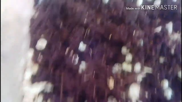 Улитята вылупляются смотреть онлайн