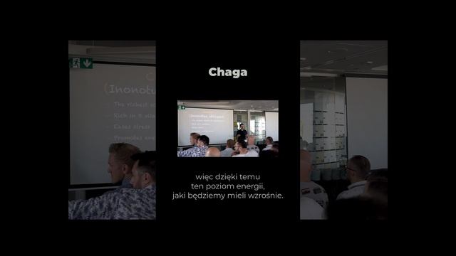 Chaga - jak działa grzyb długowieczności | Hack Your Brain | #shorts смотреть онлайн