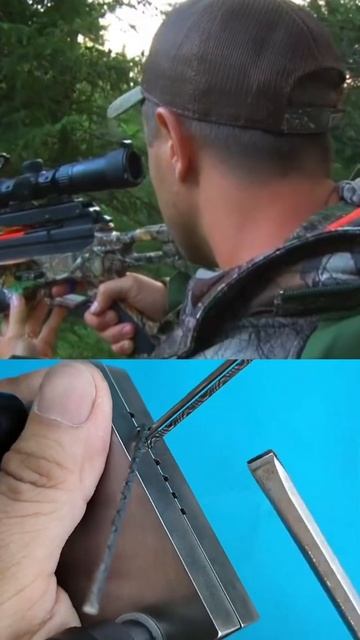 Hunting black bears in the wild смотреть онлайн