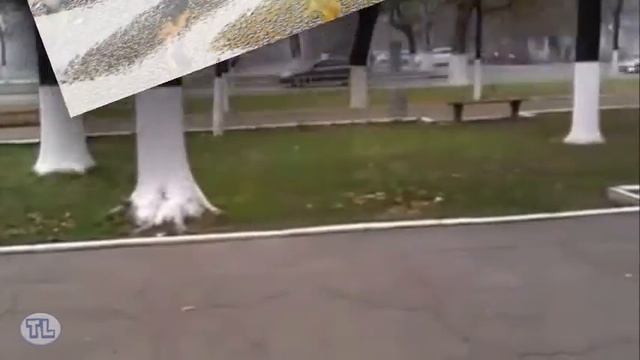 Ностальгия.  Nostalgia.