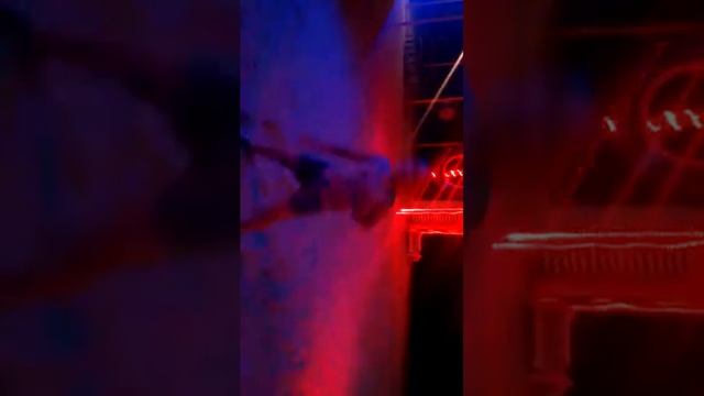 Танец лев про смотреть онлайн