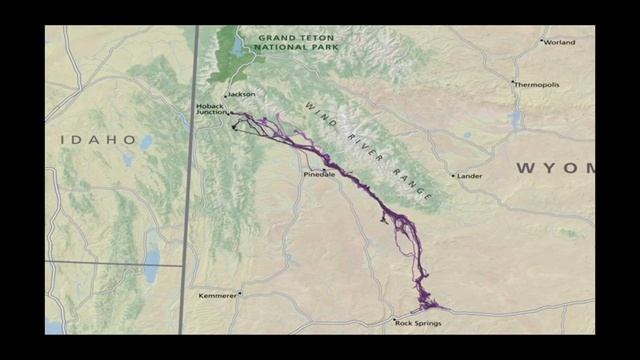 Matthew Kauffman at Saturday U- The Migrations of Wyoming’s Deer, Elk and Moose: Changing Landscape смотреть онлайн