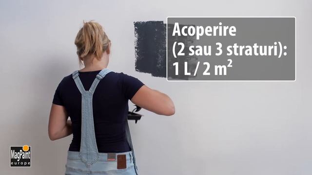 Vopsea speciala: vopsea magnetica MagnetPaint - aplicare cu rola cu par scurt смотреть онлайн