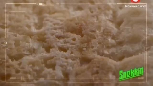 Snekkin - запатентованный смак майбутнього! 2015 смотреть онлайн