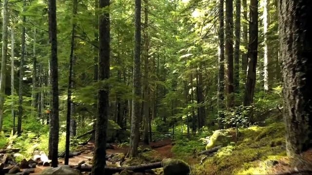 Владеет битвой Бог - Дарья Ворошилова и Константин Денисенко смотреть онлайн