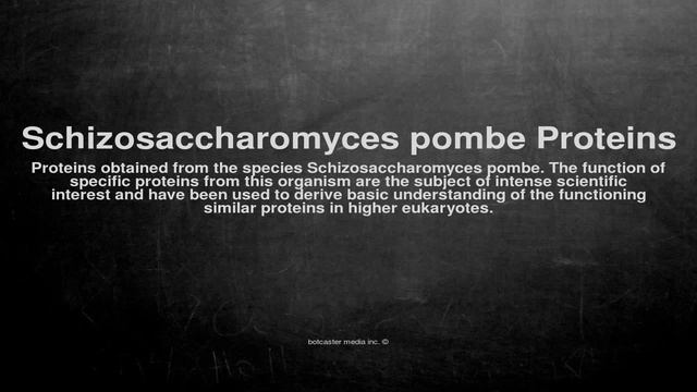 Medical vocabulary: What does Schizosaccharomyces pombe Proteins mean смотреть онлайн