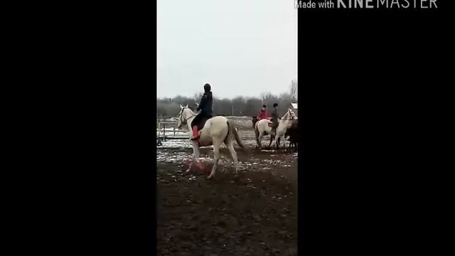 День матери на конюшне🐴🐎🐴🐎🌷🌹🌺💮🌸💐 смотреть онлайн