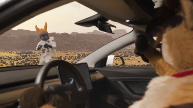 Thabo Meerkat: Charities, furry stuff, animations, shorts and more смотреть онлайн