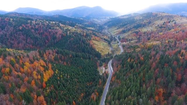 Дорога Р-21 Долина-Хуст отримала нове Життя смотреть онлайн