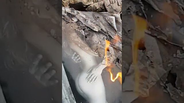 Грибы-между нами тает лёд