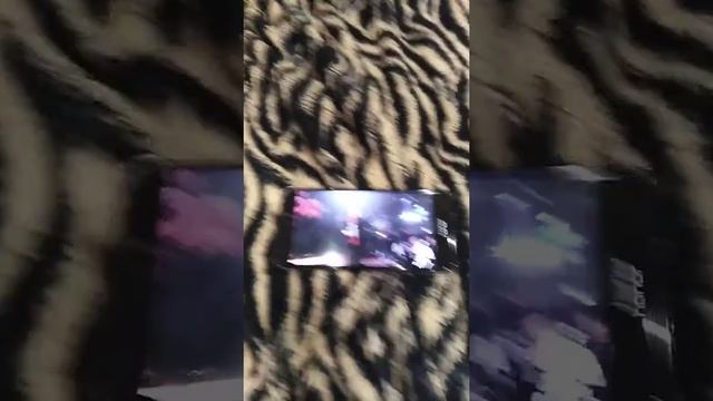 Мы бежим кагбуто от гепарда смотреть онлайн