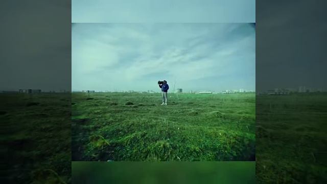 Грибы-тает лёд!