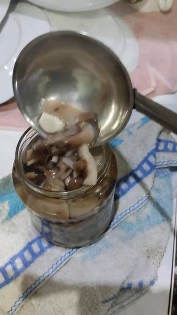 маринуем грибы (опята)