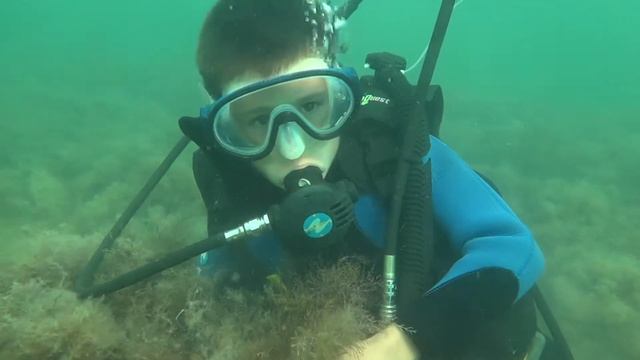 первое погружение с аквалангом смотреть онлайн