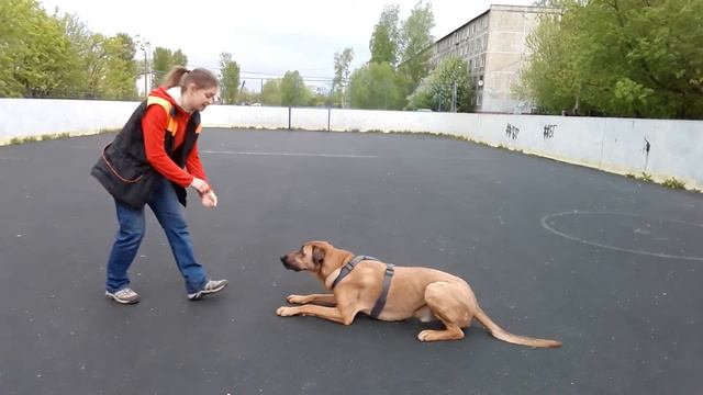 Трюк-4. Грустно смотреть онлайн