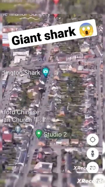 world's biggest shark #shorts #googleearth #googlemaps #viral смотреть онлайн