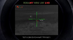 Охота на матерого волка. Огромный волк.