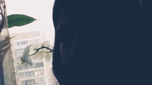 Кира лайк 👍 но я создам новый канал смотреть онлайн