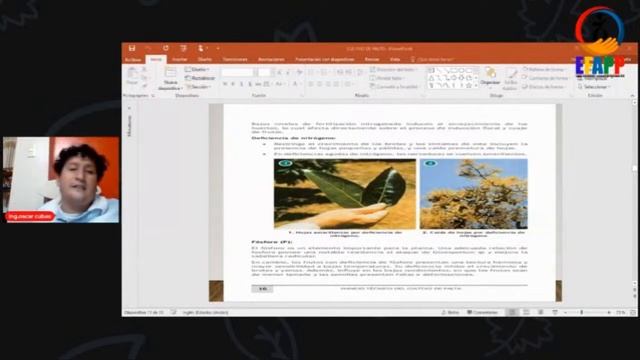 𝗖𝗨𝗥𝗦𝗢 𝗚𝗥𝗔𝗧𝗨𝗜𝗧𝗢:MANEJO INTEGRADO EN PLAGAS Y ENFERMERDADES EN CULTIVOS DE EXPORTACION📚