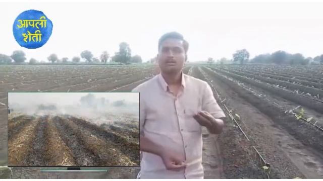 निलेश पाळजकर - हळद शेती यशोगाथा | सेंद्रिय शेती माहिती | हळद लागवड संपूर्ण माहिती | turmeric farmin смотреть онлайн