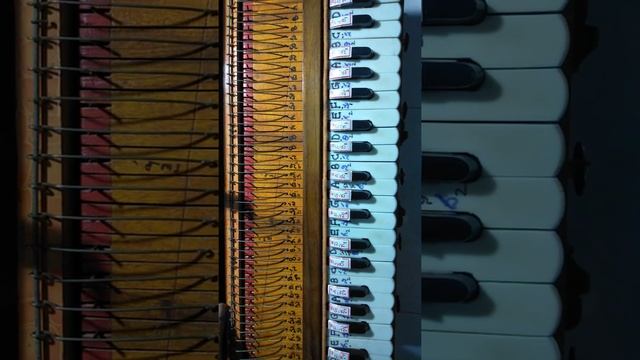 GUNNAMAAMIDI// NOTATION //HORMONIAM PRACTICE// BY MURTY K A N //Baala mitrula katha//