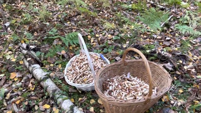 11 октября 2022 г. смотреть онлайн