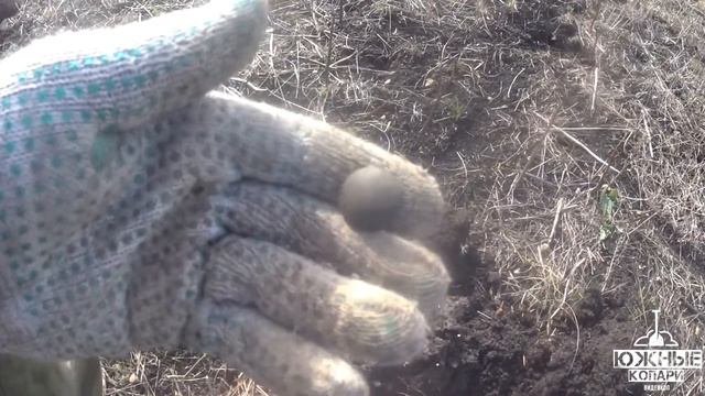 Грибокоп с Аленой