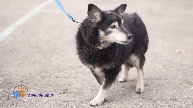 ИЗЮМИНА смотреть онлайн