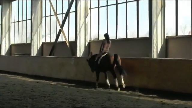 Консул под седлом 11 марта смотреть онлайн