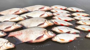 ЛУЧШАЯ РЫБАЛКА СЕЗОНА. "ВЕДЬМА" РУЛИТ. Реванш на МОЖАЙКЕ.