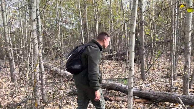 Шульгівка. Ліс до дощового сезону. Жовтень 2023.