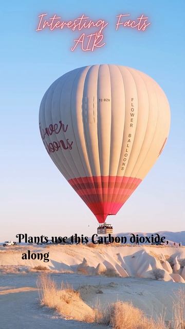 INTERESTING FACTS ABOUT AIR #shorts смотреть онлайн