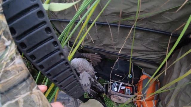 Cow Pasture Honker Hunt смотреть онлайн