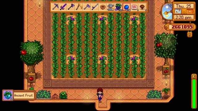 Touring My Old Stardew Valley Farm