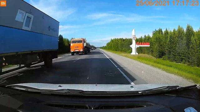 Лось на дороге смотреть онлайн
