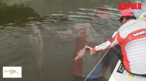 ทดสอบเหยื่อ RAPALA SHAD DANCER
