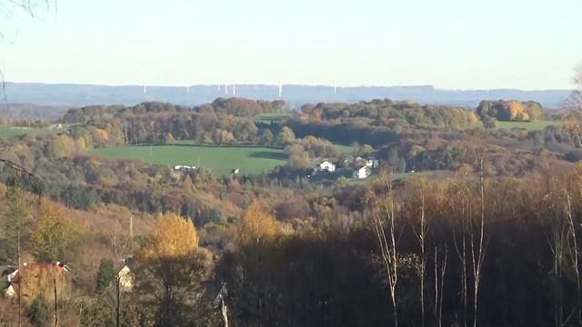 СОЛНЕЧНЫЙ НОЯБРЬ